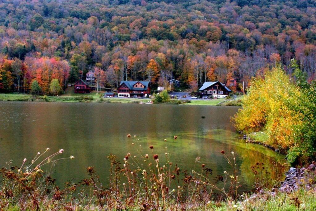 Luxury Chalet - 1 Mile To Hunter Ski Resort- Hot Tub - Pets Stay Free Dış mekan fotoğraf