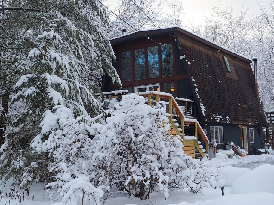 Luxury Chalet - 1 Mile To Hunter Ski Resort- Hot Tub - Pets Stay Free Dış mekan fotoğraf