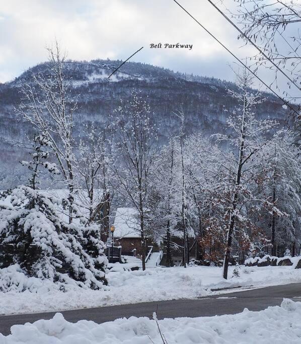 Luxury Chalet - 1 Mile To Hunter Ski Resort- Hot Tub - Pets Stay Free Dış mekan fotoğraf